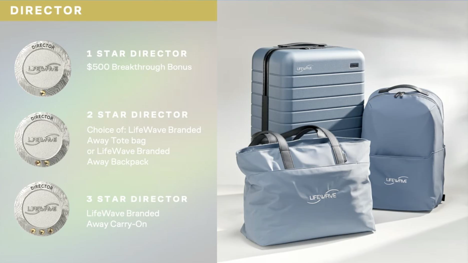 Lifewave-RankRecognition-Incentives_Page_2